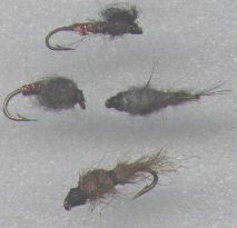 [Nymphs]